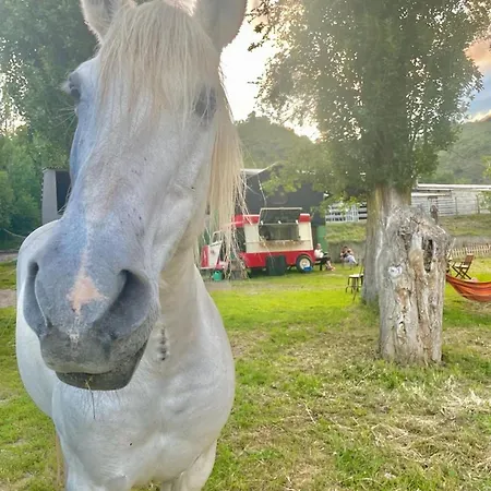 Warm In With Mountain View, 45 M² Ardanué