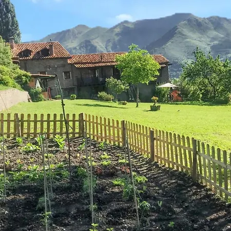 Warm In With Mountain View, 45 M² Apartment *