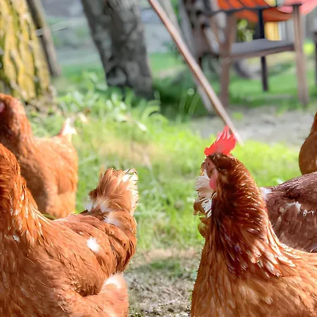 Warm In With Mountain View, 45 M² Daire