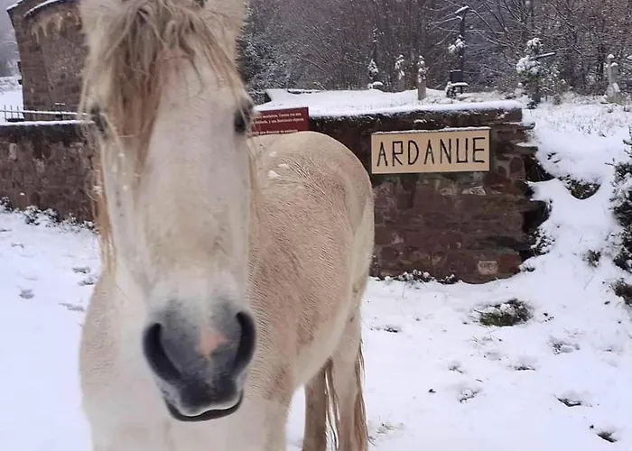 Warm In With Mountain View, 45 M² Lägenhet *