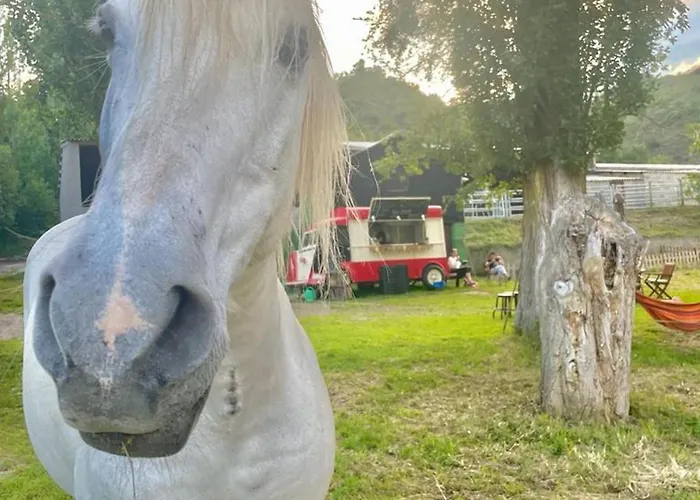 Warm In With Mountain View, 45 M² Ardanué