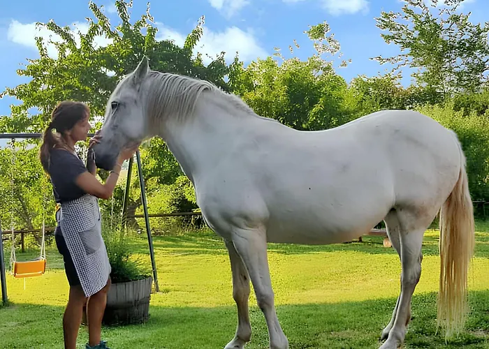 Warm In With Mountain View, 45 M² Lägenhet *